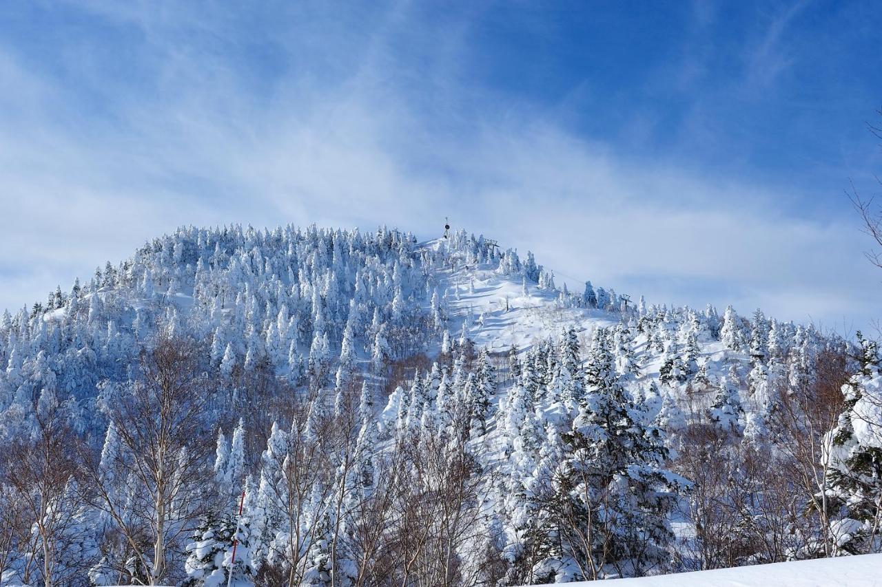 Shiga Kogen Olympic Hotel Яманути Экстерьер фото